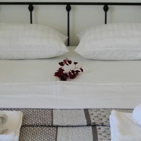 Apartment Nero Zadar Eksteriør bilde