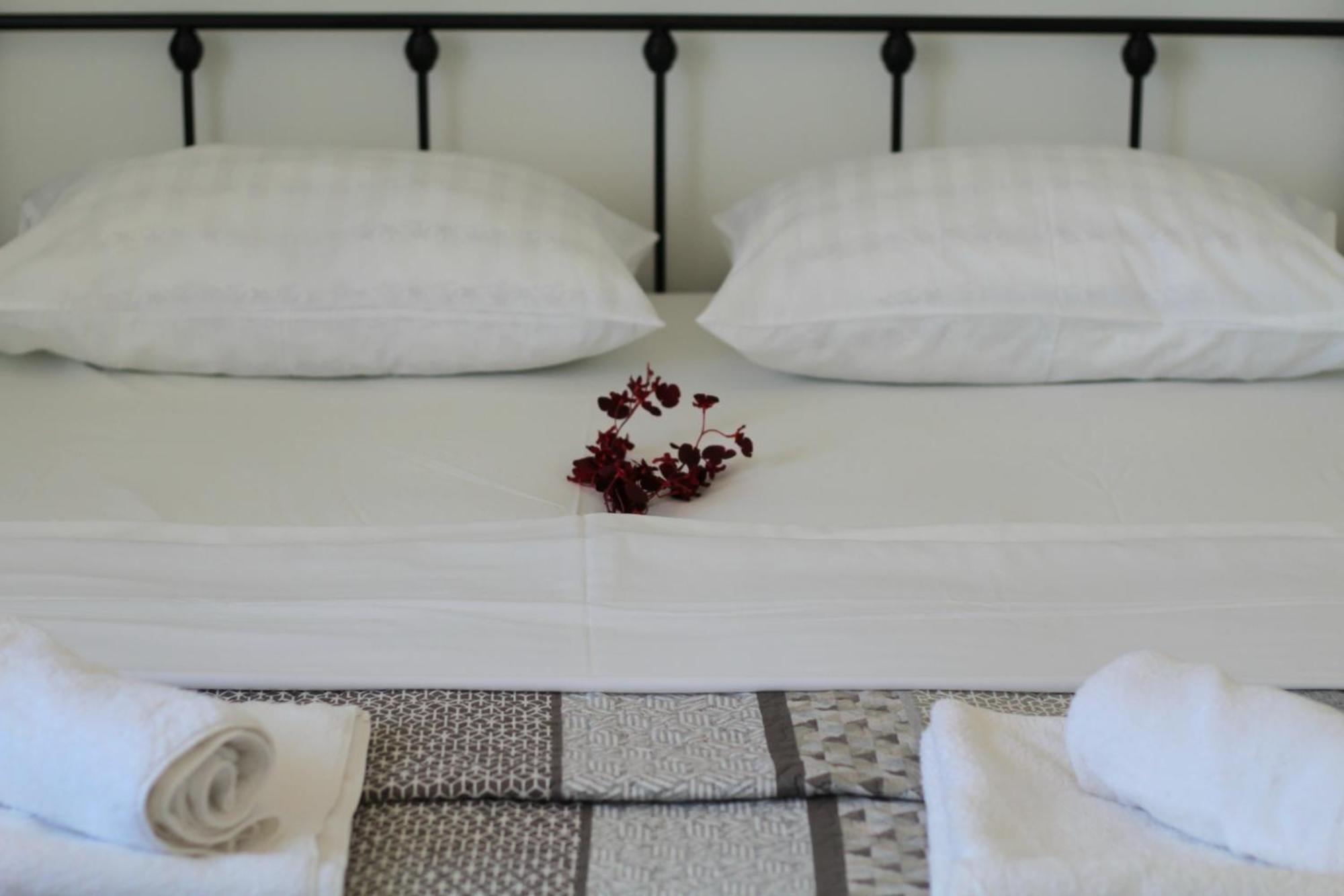 Apartment Nero Zadar Eksteriør bilde